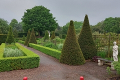 The-Victorian-garden